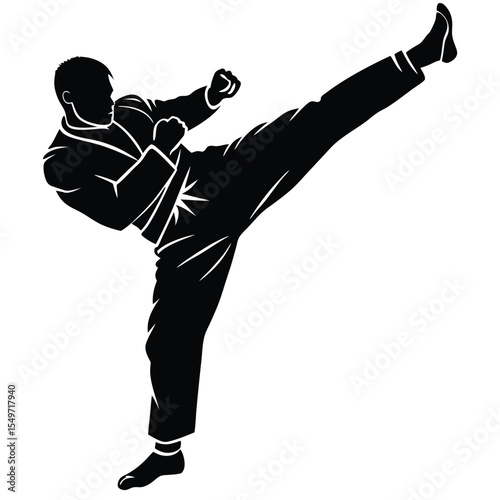 Martial arts fighter silhouette performing a high side kick with a white background