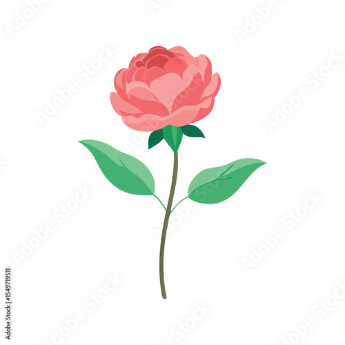 Peony flower flat minimal vector illustration, elegant pink bloom, simple botanical floral design