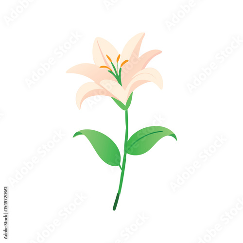 Lily flower flat minimal vector illustration, elegant floral icon, simple botanical spring design

