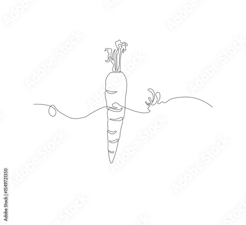 Continuous one line drawing of carrot vegetable. One line drawing vector illustration of carrot plant. Editable outline.