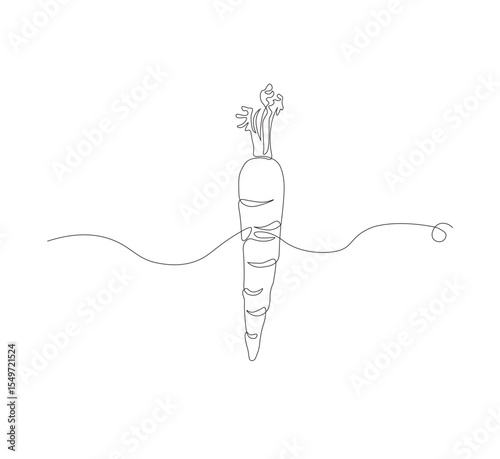 Continuous one line drawing of carrot vegetable. One line drawing vector illustration of carrot plant. Editable outline.