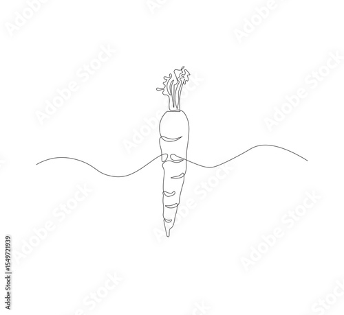 Continuous one line drawing of carrot vegetable. One line drawing vector illustration of carrot plant. Editable outline.