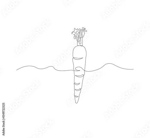 Continuous one line drawing of carrot vegetable. One line drawing vector illustration of carrot plant. Editable outline.
