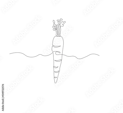 Continuous one line drawing of carrot vegetable. One line drawing vector illustration of carrot plant. Editable outline.