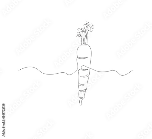 Continuous one line drawing of carrot vegetable. One line drawing vector illustration of carrot plant. Editable outline.
