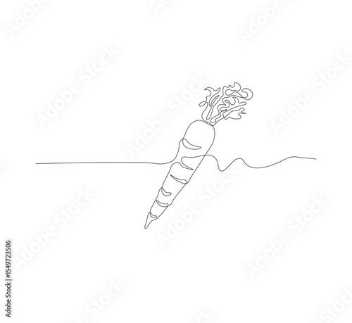 Continuous one line drawing of carrot vegetable. One line drawing vector illustration of carrot plant. Editable outline.
