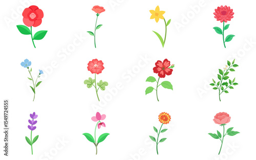 Wallpaper Mural Set of flowers vector illustration, colorful floral collection, spring garden plants, decorative botanical Torontodigital.ca