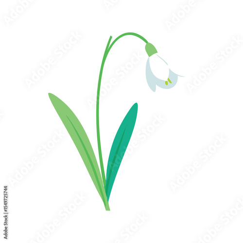 Snowdrop flower flat minimal vector illustration, simple spring bloom, elegant botanical design element

