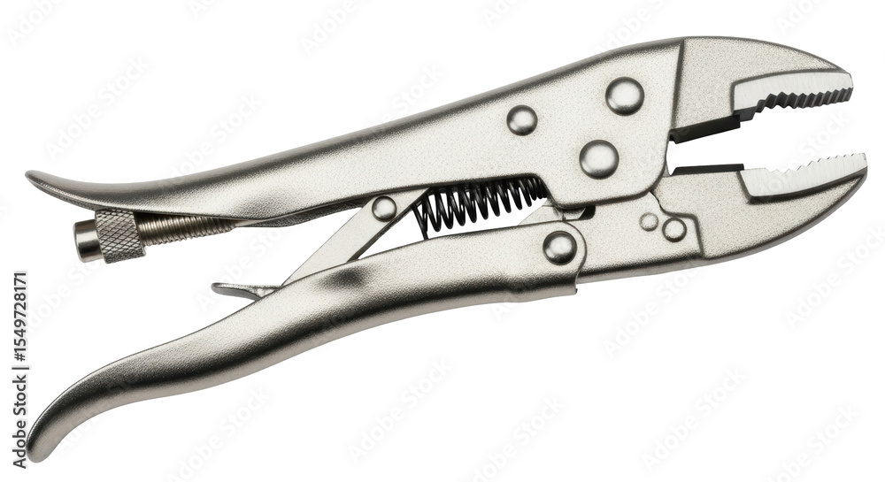 Obraz premium Isolated locking pliers
