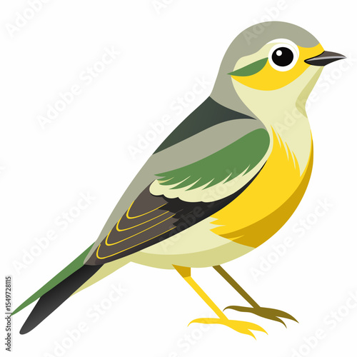Vector Illustration of Western Lesser Goldfinch – Bright Yellow Finch with Dark Wings