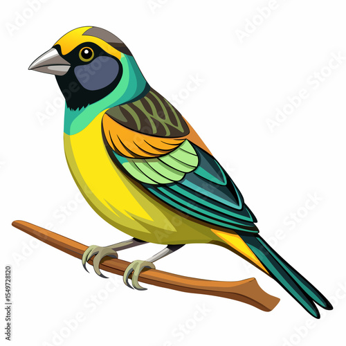 Western Lesser Goldfinch Vector Illustration – Small North American Songbird in Profile