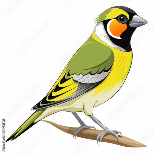 Cartoon Western Lesser Goldfinch Vector Illustration – Black-Headed Finch on Branch