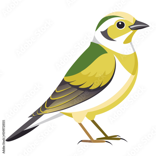 Western Lesser Goldfinch Vector Illustration – Yellow Songbird with Black Cap in Side View