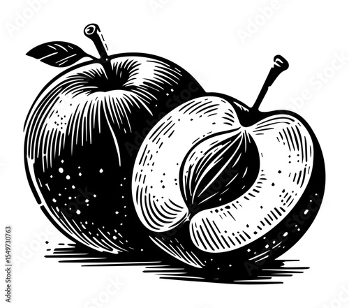 apple and plum fruit illustration black sketch engraving style