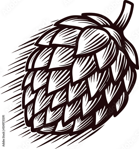 Hand drawn illustration of a hop cone in vintage engraved isolated on white background