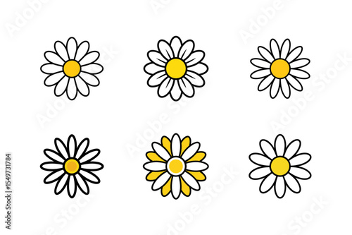 daisy flower set vector illustration