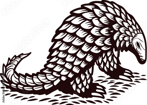 Hand drawn pangolin illustration with scales and texture isolated on white background