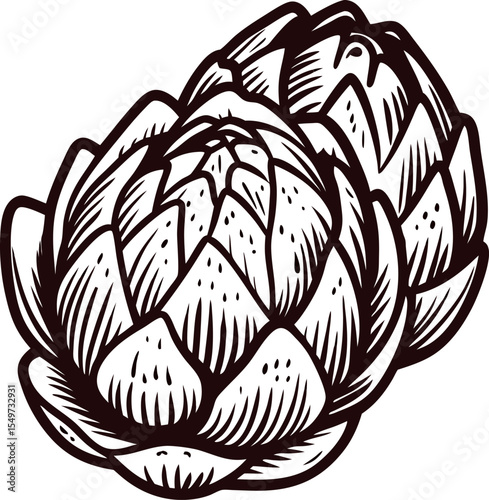 Hand drawn vintage artichokes isolated on white background black and white botanical illustration