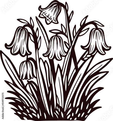 Botanical illustration of wild bell shaped flowers and leaves in vintage hand drawn isolated on white background