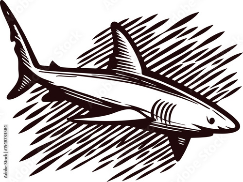 Hand drawn shark illustration vintage engraving fish with bold lines and textured shading in black and white