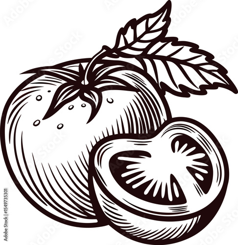 Vintage engraved illustration of ripe tomato with leaf and sliced half isolated on white background