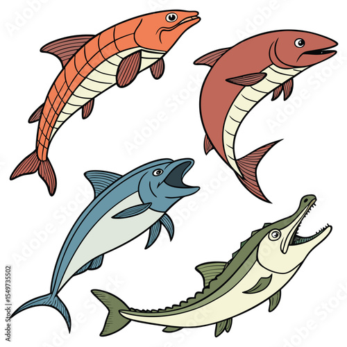 Dorado Fish in Fast Motion,salmon fish,Barracuda Fish Vintage,Yellowfin Tuna Fish,Cute Salmon animal Illustration vector design