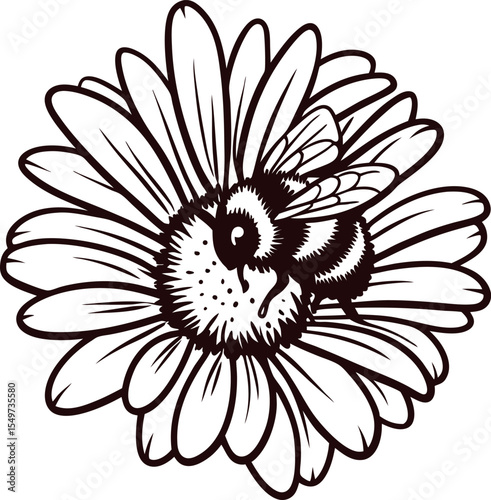 Detailed black and white illustration of a bee collecting nectar on a blooming daisy flower, vintage ink drawing