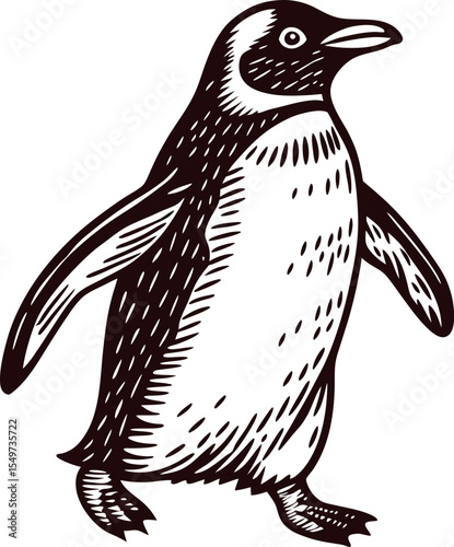 Detailed black and white hand drawn illustration of a penguin standing upright, vintage sketch animal art