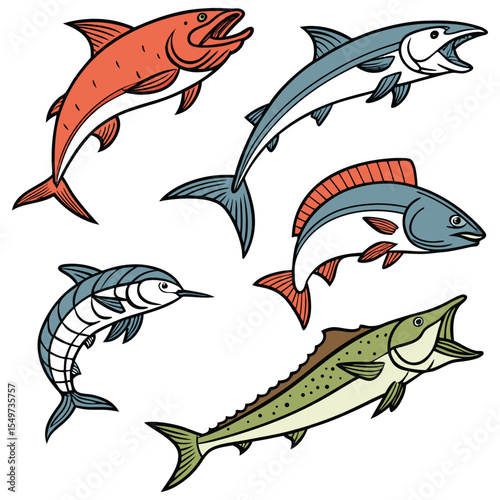 Dorado Fish in Fast Motion,salmon fish,Barracuda Fish Vintage,Yellowfin Tuna Fish,Cute Salmon animal Illustration vector design