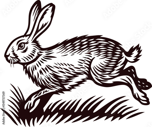 Vintage engraved illustration of running rabbit isolated on white background, woodland animal in motion, black and white art