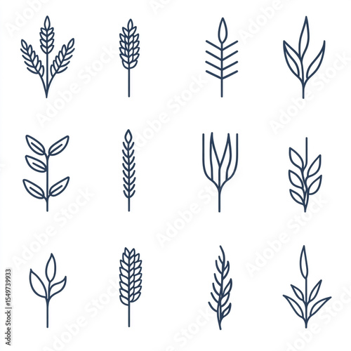 Minimalist wheat ear vector icon set, includes linear and filled pictograms of cereal grains and agricultural symbols