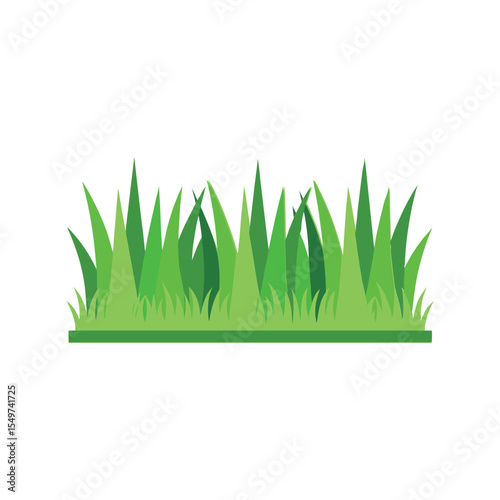 Green grass border vector illustration, fresh lawn edge, garden landscape element, nature