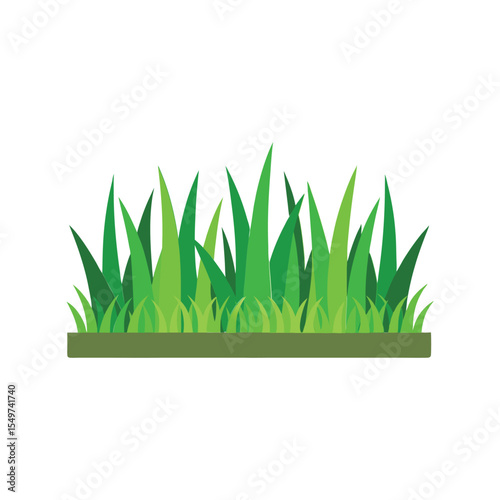 Green grass border vector illustration, fresh lawn edge, garden landscape element, nature
