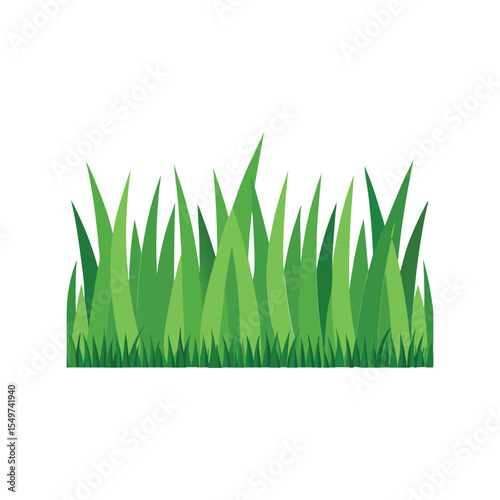 Green grass border vector illustration, fresh lawn edge, garden landscape element, nature