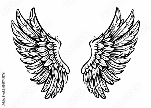 Angel and demon wings vector illustration
