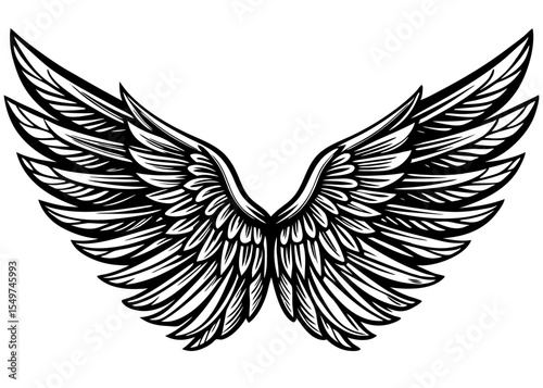 Silhouette Elegant angel wings vector illustration
