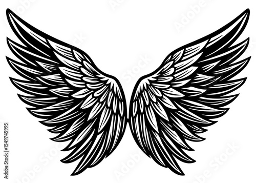 Silhouette Elegant angel wings vector illustration
