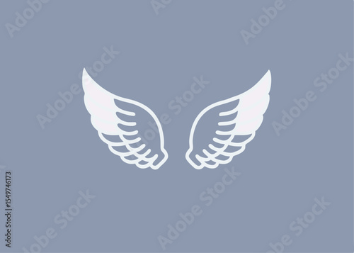 Realistic wings on transparent background