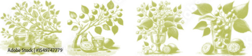 Halftone stipple dotted vector bundle design of linden tree branch with green glass effect, detailed nature illustration, botanical art, textured dot pattern, organic leaf element, fresh foliage