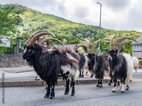 Walking around Llanberis in Snowdonia National Park wales
