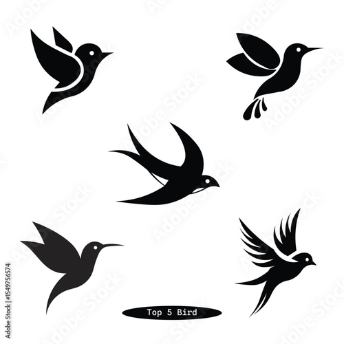 Vector bird silhouette set with flying and perched bird illustrations