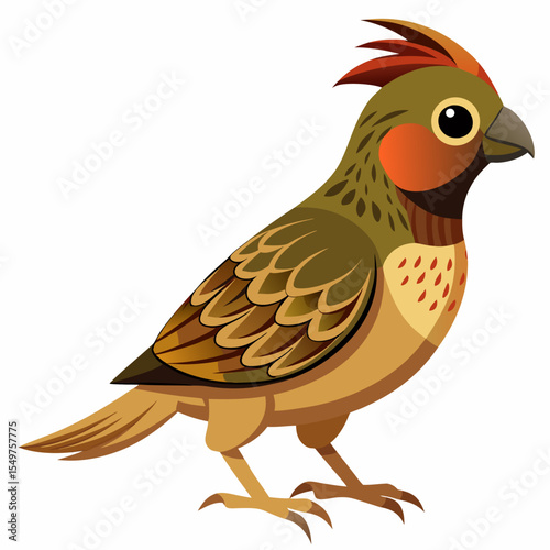 Northwestern Goldfinch Vector Illustration – Spinus Tristis Jewetti in Natural Pose