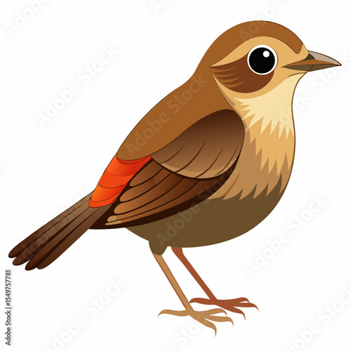 Northwestern Goldfinch Vector Illustration – Yellow and Black Finch Native to the Pacific Northwest