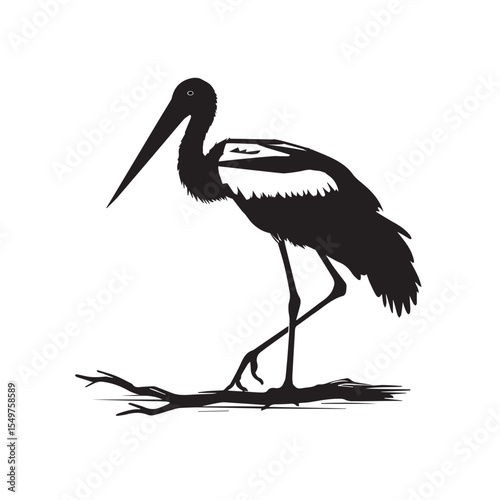 Silhouette of a black stork standing on a branch with white accents