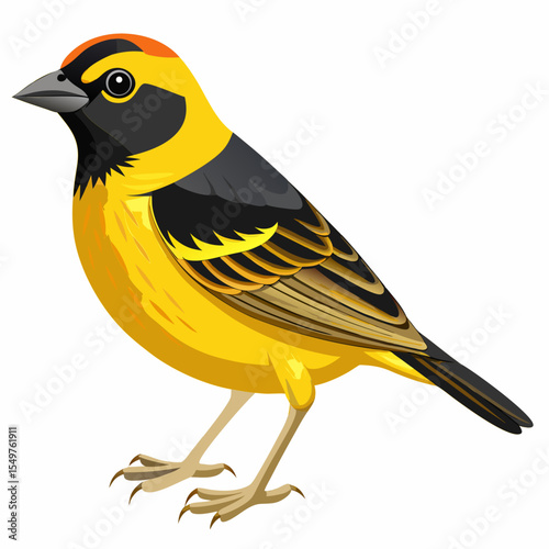 Willow American Goldfinch Vector Illustration – Elegant Yellow Songbird in Natural Pose