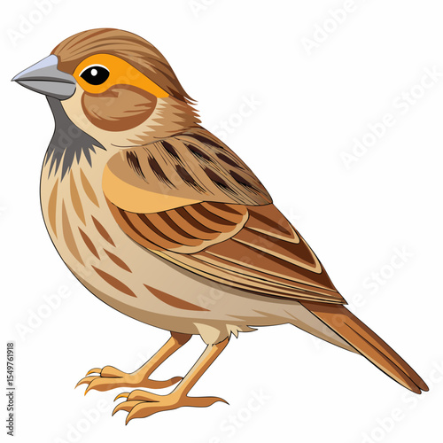 Vector Illustration of Willow American Goldfinch – Small Bright Finch in Profile