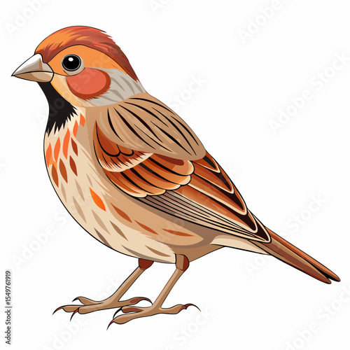 Cartoon Willow Goldfinch Vector Illustration – Cute Western Songbird on Branch