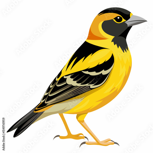 Willow American Goldfinch Vector Illustration – Vibrant Yellow Bird with Dark Wings