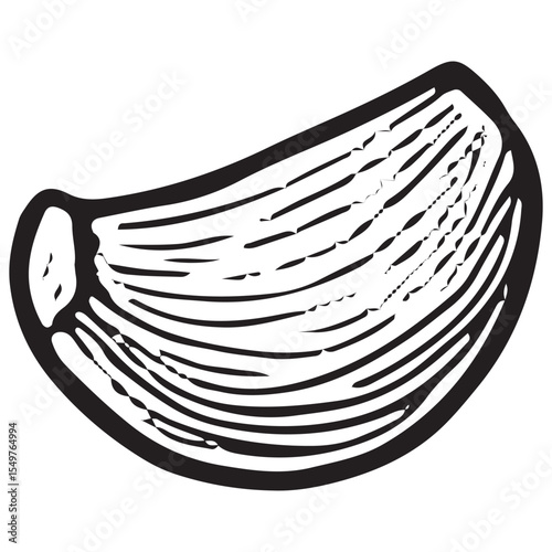 Black-and-white hand-drawn sketch of a garlic clove with detailed texture, featuring a rustic, vintage style perfect for organic vegetable art, kitchen decor, or culinary packaging designs