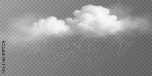 Realistic fluffy rain cloud with falling raindrops and misty cloudy texture on a transparent background. The weather scene for stormy conditions, climate graphics, or seasonal backgrounds. Vector.
